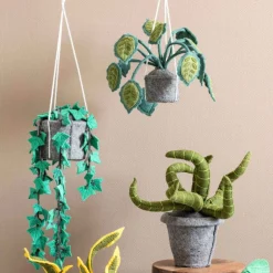 KidsDepot Hangplant Hedera Felix