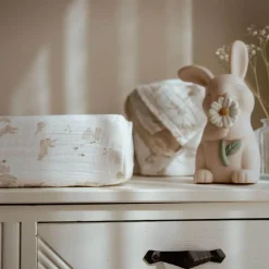 Little Dutch Aankleedkussenhoes Baby Bunny