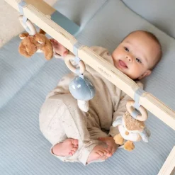 Little Dutch Babygym Forest Friends