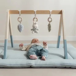 Little Dutch Babygym Lucky Leaves