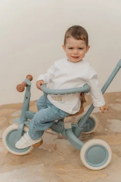 Little Dutch 4-in-1 Driewieler / Loopfiets Safari Dreams