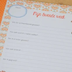 Pauline Oud - Baby's eerste jaar