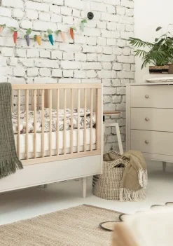 Pinio Doorgroeiledikant Petite Champagne 70 x 140