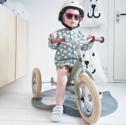 Trybike Steel 2-in-1 Loopfiets Green (mat groen)