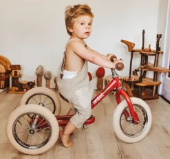 Trybike Steel 2-in-1 Loopfiets Red (mat rood)