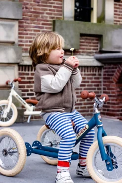 Trybike Steel 2-in-1 Loopfiets Blue (mat blauw)